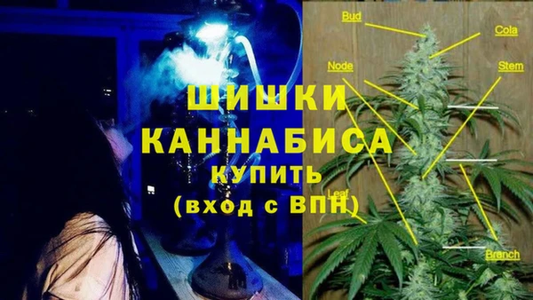 амф Остров