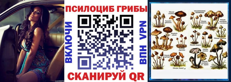 Псилоцибиновые грибы Psilocybe  Купить закладки  Сланцы 