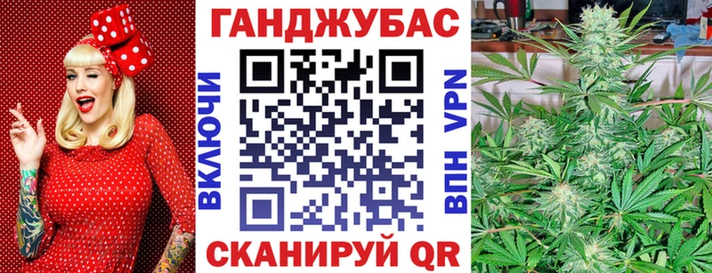 Каннабис планчик Сланцы